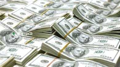 توقعات بتغييرات قادمة في سعر الدولار اليوم الخميس 15 مايو 2025 تؤثر على السوق المصري