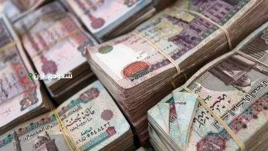 جدول الحد الأدنى للأجور ومرتبات شهر يونيو 2025