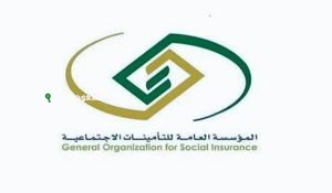 جدول رواتب يونيو 2025 للقطاع الحكومي والخاص في السعودية