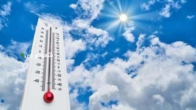 حالة الطقس المتوقعة