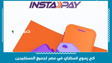 كم رسوم انستاباي في مصر لجميع المستفيدين