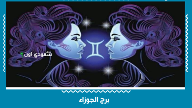 برج الجوزاء