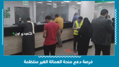 فرصة دعم منحة العمالة الغير منتظمة