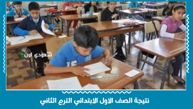 نتيجة الصف الاول الابتدائي الترم الثاني