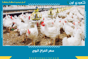 سعر الفراخ اليوم