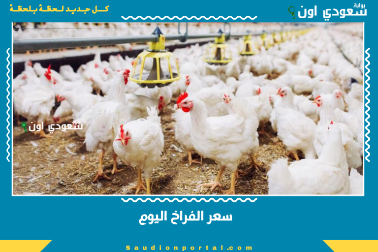 سعر الفراخ اليوم