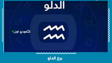 برج الدلو