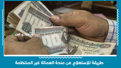 طريقة للاستعلام عن منحة العمالة غير المنتظمة