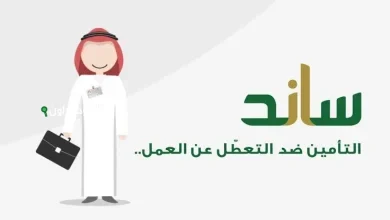 دعم خاص للمرأة فقط.. التسجيل في نظام ساند للنساء 1446 متاح عبر hrsd.gov.sa مباشرة