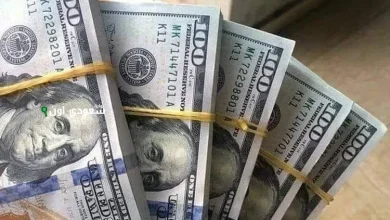 دليل سعر صرف الدولار في مصر اليوم الخميس