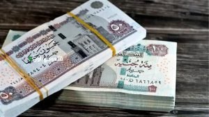 دليل شامل لمواعيد صرف رواتب يونيو