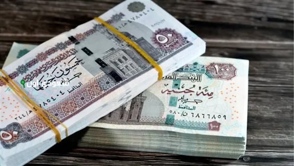 دليل شامل لمواعيد صرف رواتب يونيو 2025 في مصر بالقطاعات الحكومية والخاصة.. هل يتم تبكيرها بمناسبة عيد الأضحى