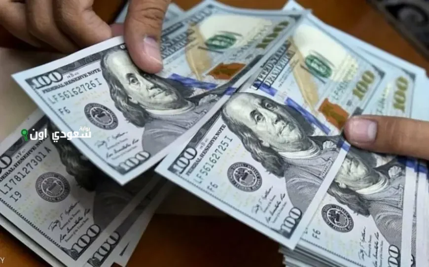 دليلك اللحظي لسعر الدولار في مصر اليوم 