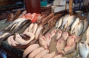 دليلك لأسعار البلطي والبلدي والمجمد والجمبري