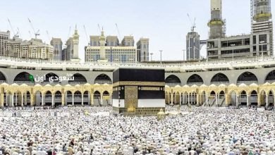 رئيس بعثة الحج الطبية المصرية يؤكد المتابعة المستمرة للحجاج عبر منظومة عيادات صحية متكاملة في الأراضي المقدسة