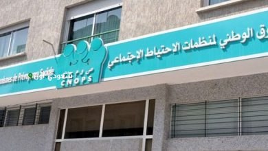 رابط كنوبس الجديد