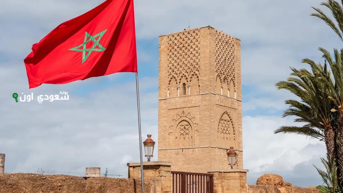 رابط كنوبس الجديد