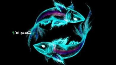 راقب إشارات الكون برج الحوت توقعات حظك اليوم