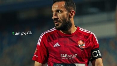 علي معلول