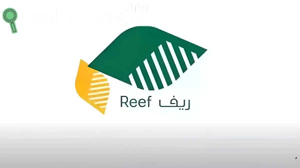 ريف