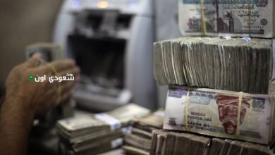 زيادة المعاشات في مصر