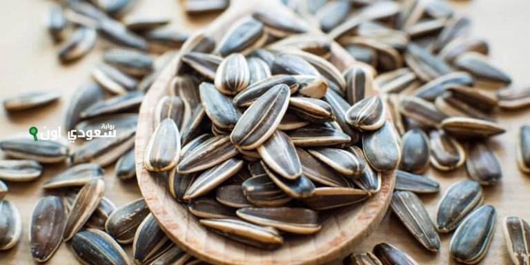 سألت نفسك قبل كده ايه بيحصل لجسمك عند تناول اللب السوري.. تعرف على فوائد اللب السوري الآن!