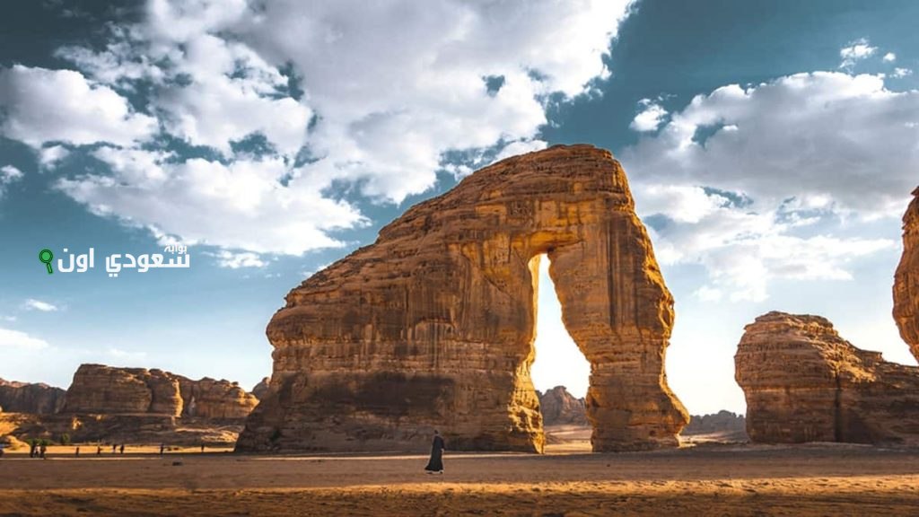 السعودية تستهدف أن تكون