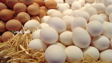 سعر البيض الأبيض والاحمر
