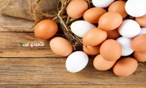 سعر البيض اليوم السبت 24 مايو 2025