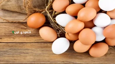 سعر البيض اليوم السبت 24 مايو 2025