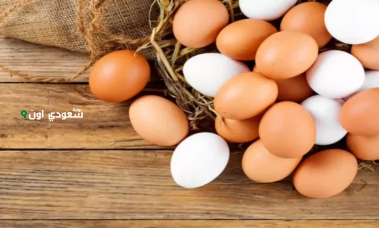 سعر البيض اليوم السبت 24 مايو 2025