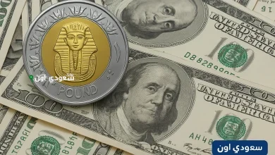 سعر الدولار