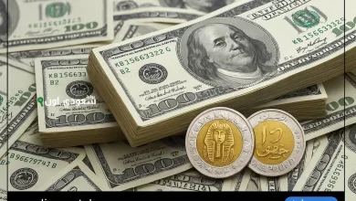 سعر الدولار اليوم