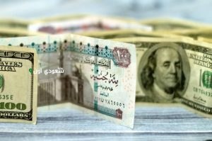 سعر الدولار اليوم في مصر