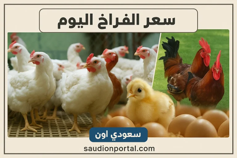 سعر الفراخ البيضاء