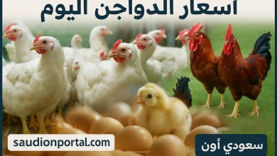 سعر الفراخ البيضاء