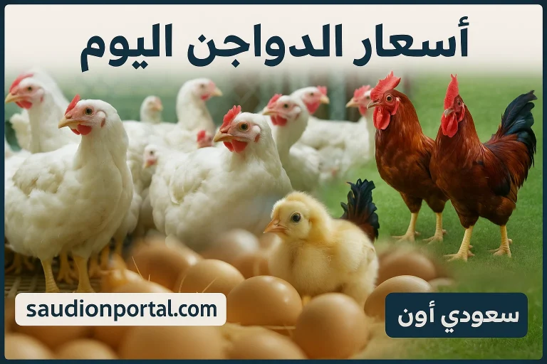 سعر الفراخ البيضاء