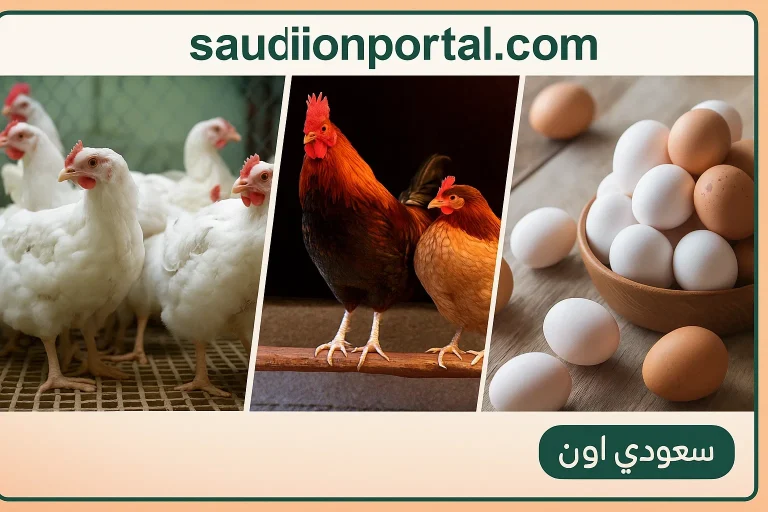 سعر الفراخ البيضاء