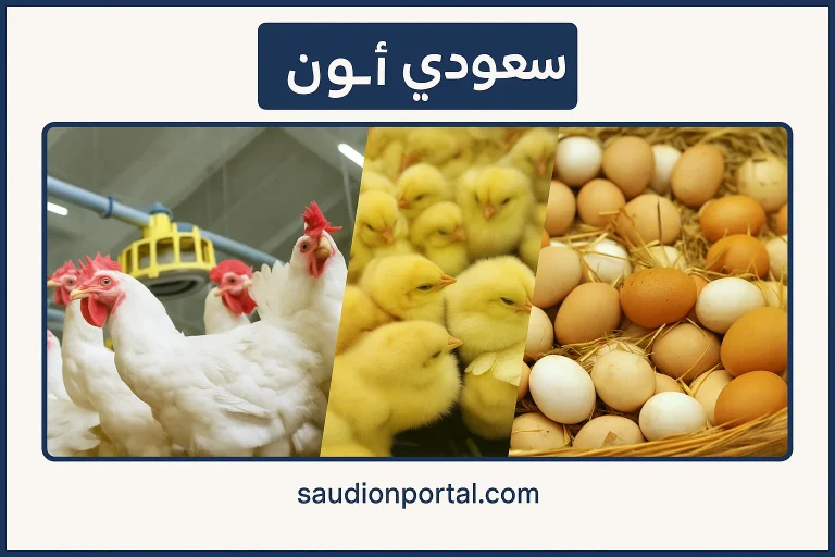 سعر الفراخ البيضاء