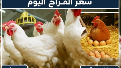 سعر الفراخ اليوم