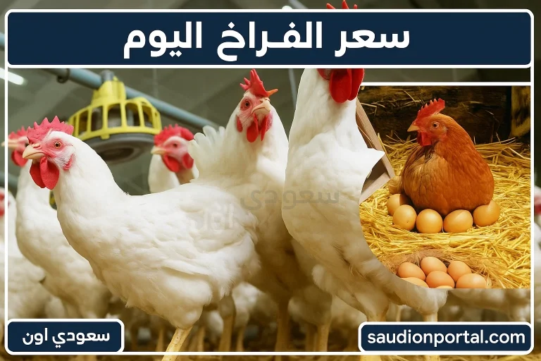 سعر الفراخ اليوم
