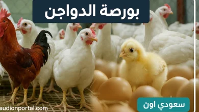 سعر الفراخ اليوم