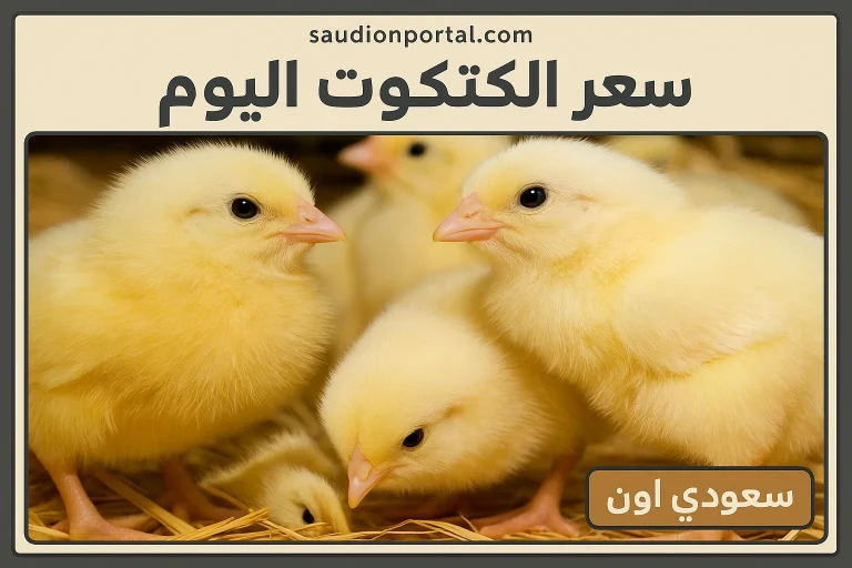سعر الكتكوت اليوم