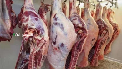 سعر اللحوم الحمراء اليوم