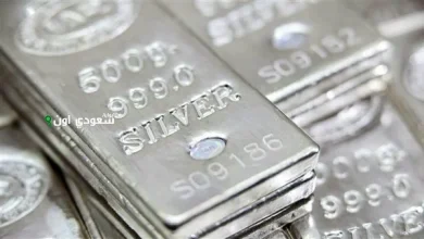 سعر جرام الفضة اليوم في السوق المحلي المصري.. الفضة الإيطالي وصلت كام؟!