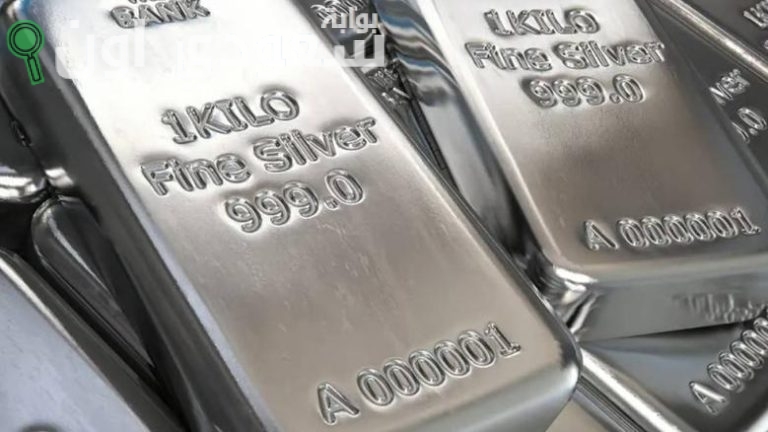 سعر جرام وسبائك الفضة اليوم