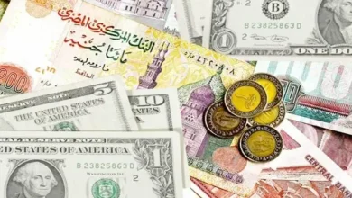 سعر صرف الجنيه المصري أمام بقية العملات