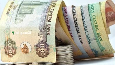 سعر صرف الدرهم الاماراتي أمام الجنيه المصري