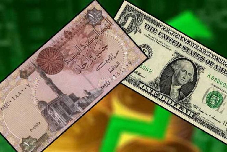 سعر صرف الدولار الأمريكي أمام  الجنيه المصري