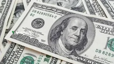 سعر صرف الدولار الأمريكي أمام الجنيه المصري اليوم